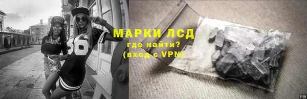 стаф Алзамай