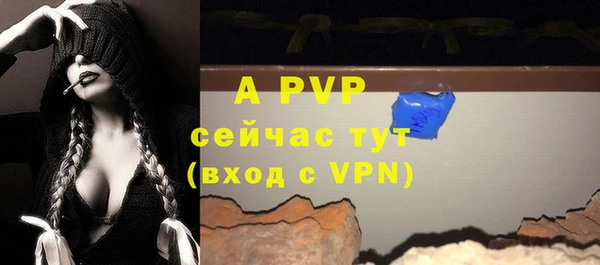 винт Абаза
