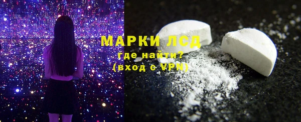 стаф Алзамай