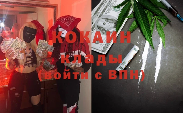 мет Алексин