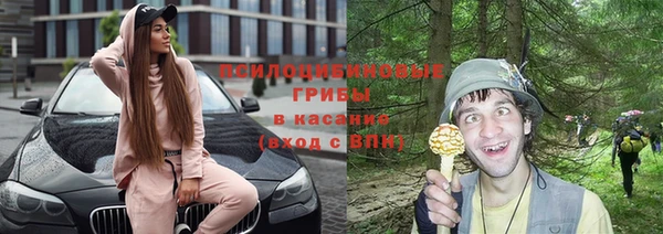 стаф Алзамай